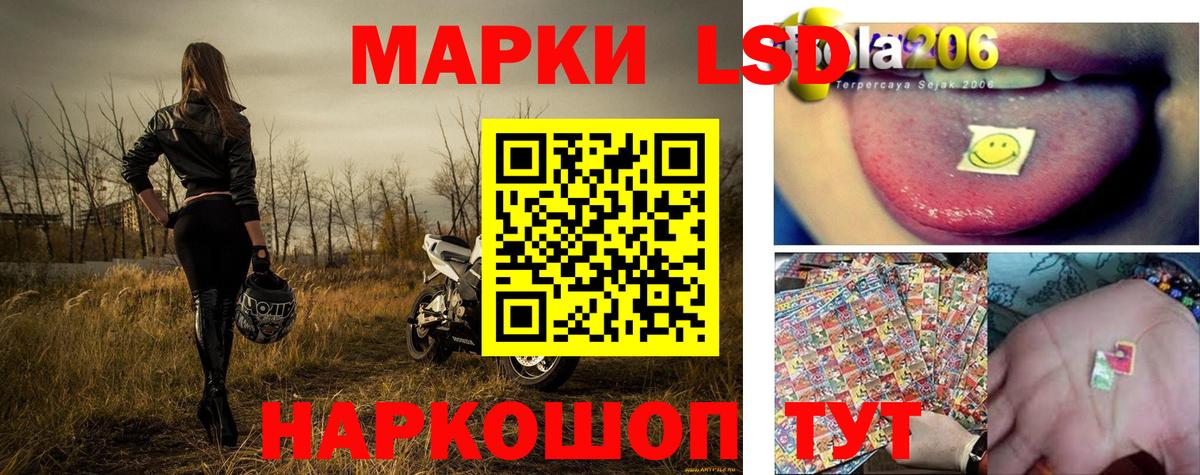 Богданович  Наркотические марки 1,8мг  Наркотические марки 1,8мг  Вход с VPN 
